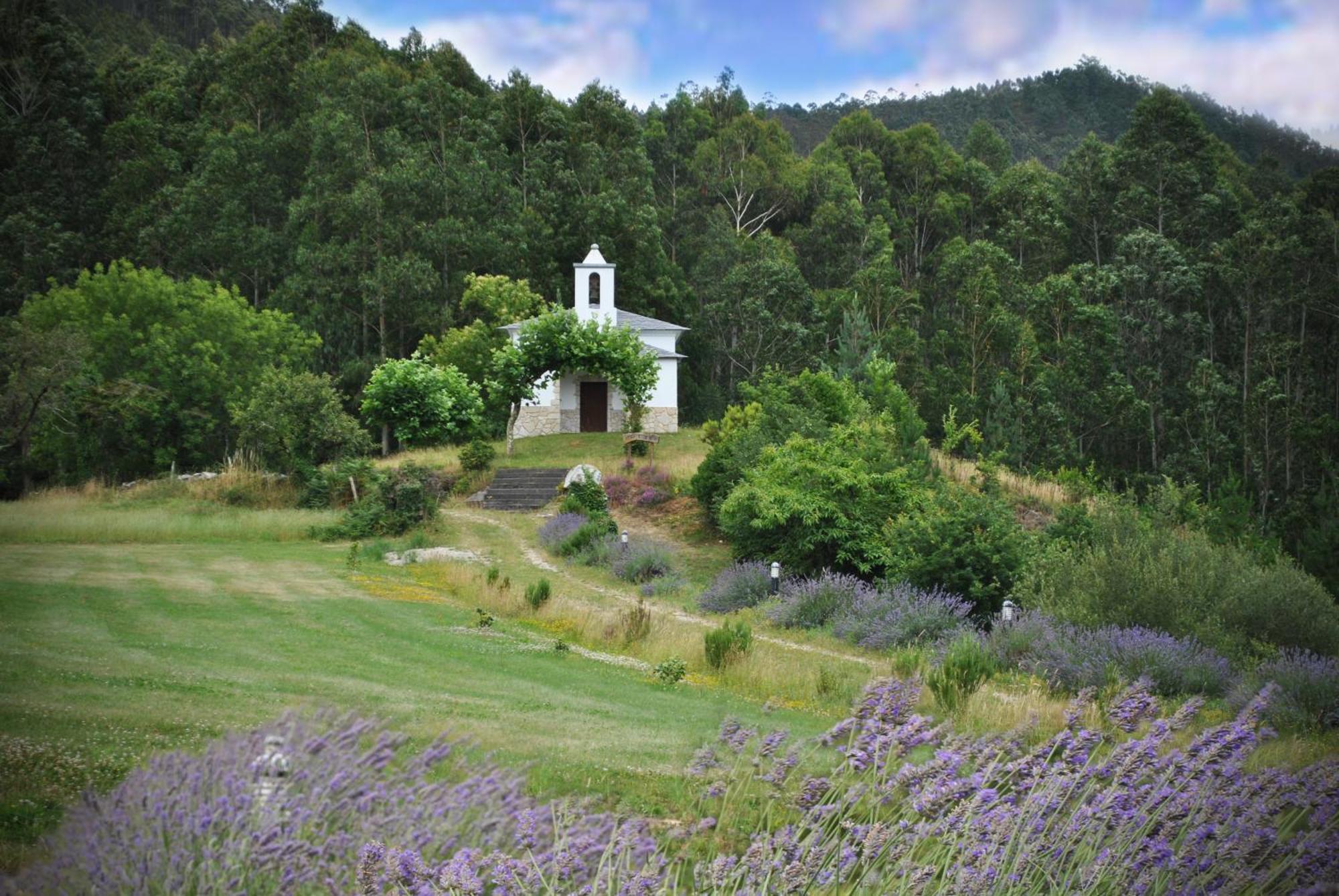 Finca O Bizarro Трабада Экстерьер фото